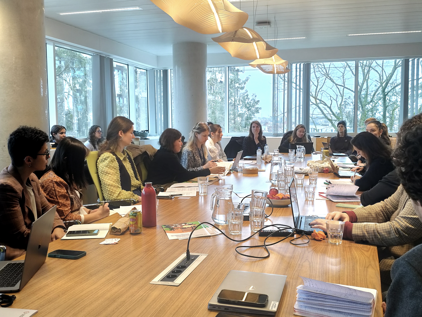 IMG20260224133203 edited (Large)