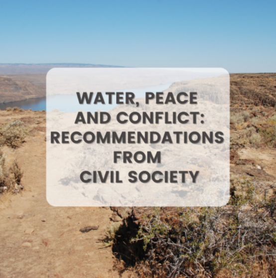 Water, peace and conflict